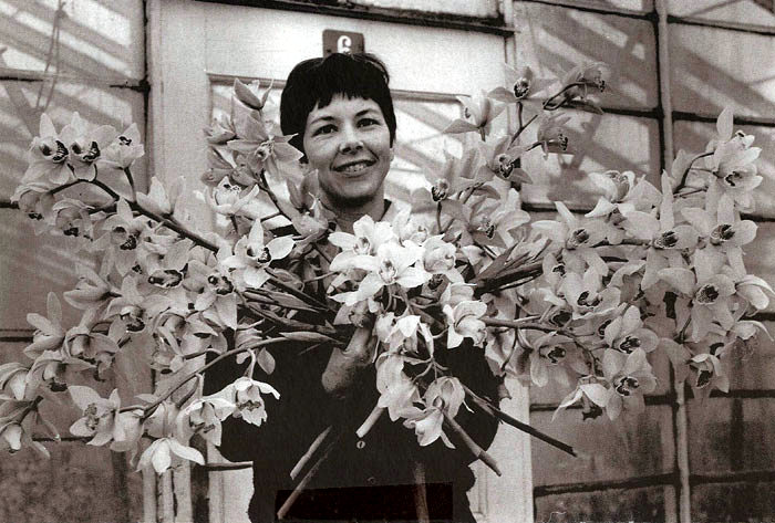 "Vestervang". Et dejligt billede fra gartner Anders Nielsens orkidé-gartneri i Beder. Det er taget den 23. marts 1967. Pigen er Elin Jensen, gift med Henning Jensen, der arbejdede på gartneriet. ' 