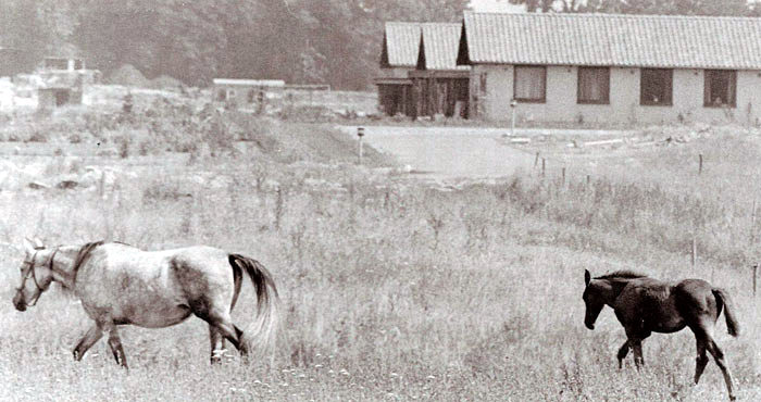 l slutningen af 1960´erne begyndte udbygningen og flytningen til Beder. Her ses 3 nybyggede parcelhuse i stadig landlige omgivelser. Foto 1969.