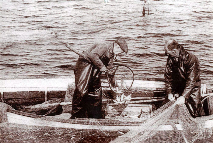 Fiskerne Peter Pagh Pedersen til venstre og Niels Kjær Rasmussen røgter bundgarn ved Ajstrup Strand 1955-60. Fiskerne var hjemmehørende i Norsminde Havn og havde bundgarn langs kysten fra Ømereden til Saxild. Flere havde åleruser i fjorden. Selvom Beder-Malling grænser op til Århus Bugten, fylder fiskeri ikke meget som erhverv med kun 10-15 beskæftigede.