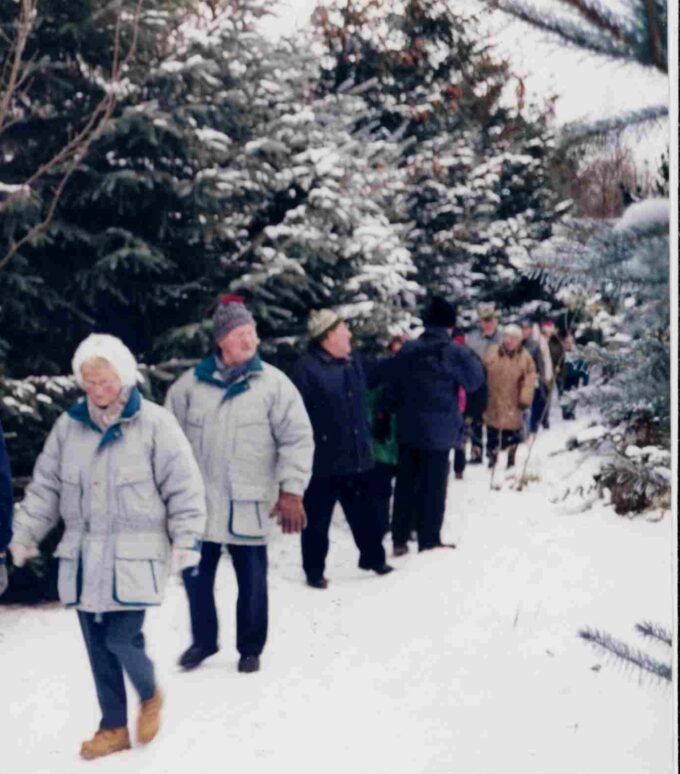 En række personer på gåtur i sneføre,